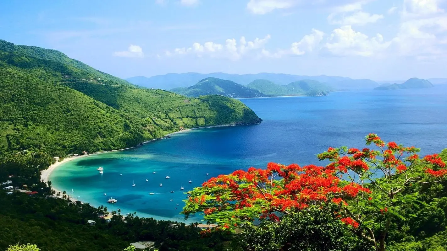高质量可靠性智能
